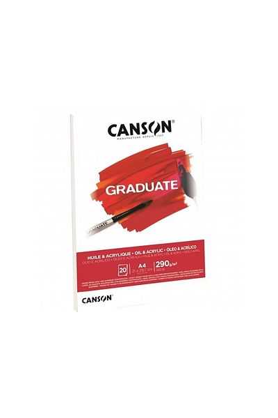Canson كتاب صور زيت أكريليك متدرج مقاس A4 290 جرام20 Yp