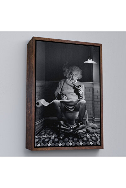 Oxyteez Albert Einstein într-un cadru de lemn - Albert care fumează o pipă pe...