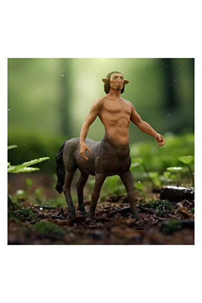 ADORE OYUNCAK Schleich Harry Potter Firenze 13986