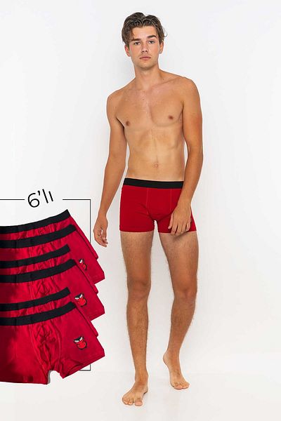 redowl Men's 6-Piece Boxer Advantageous Pack
