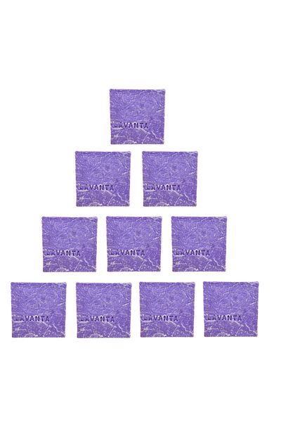 ASTERA 10 Natural Lavender Soaps - Handmade