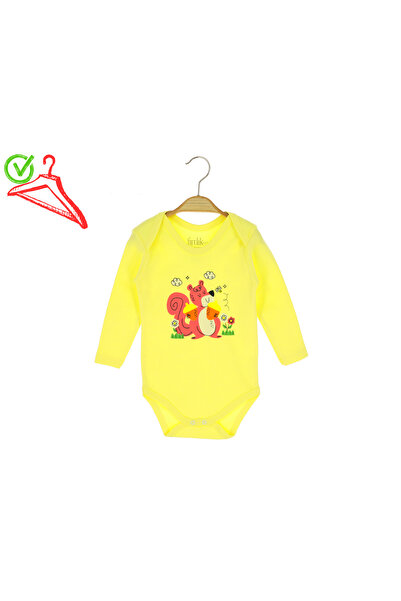 CRASSİ جسم الطفل السنجاب