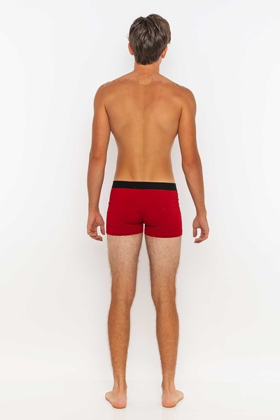 redowl Owl Printed Boxers