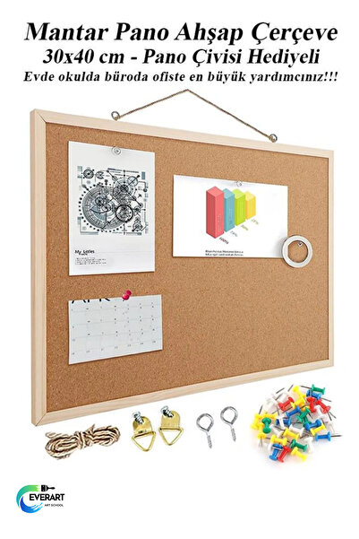 everart Mantar Pano Ahşap Çerçeve 30x40 cm 1 Adet Harita Çivisi Hediyeli Duvara Monte Mantar Çerçeve Evde Ok