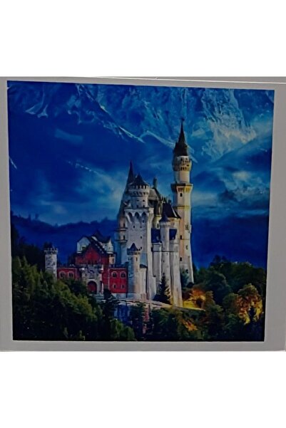 Yapboz Boncuklu Goblen 5d Taşlı Mozaik Elmas Goblen 30 x 30 Tamamı Yuvarlak Boncuklu