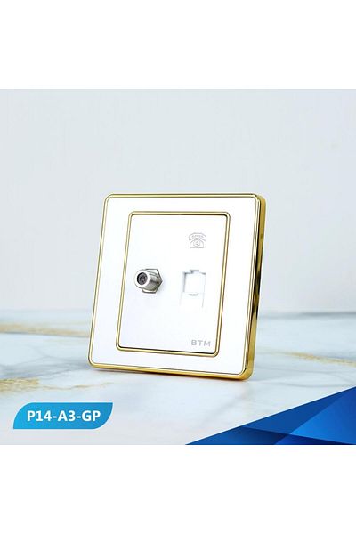 Btm a telephone port and a PREAL gold TV socket -100 pieces