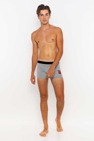 redowl Men's 6-Piece Boxer Advantageous Pack