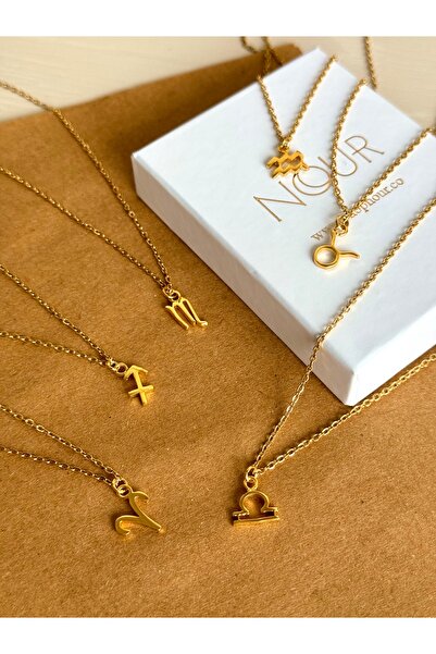 Nour Co Akrep Burcu Özel Kartlı Çelik Kolye