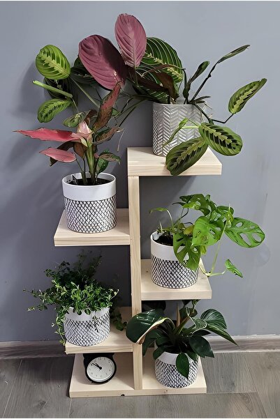 HİKİOE RAFLI ÇİÇEKLİK