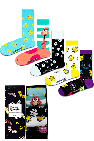 Neşeli Çoraplar 5'li Kutulu Sevimli Hayvanlar Renkli Çorap Set