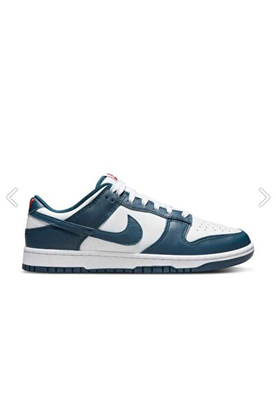 Nike Dunk Low Retro Erkek Sneaker Ayakkabı Dd1391-400