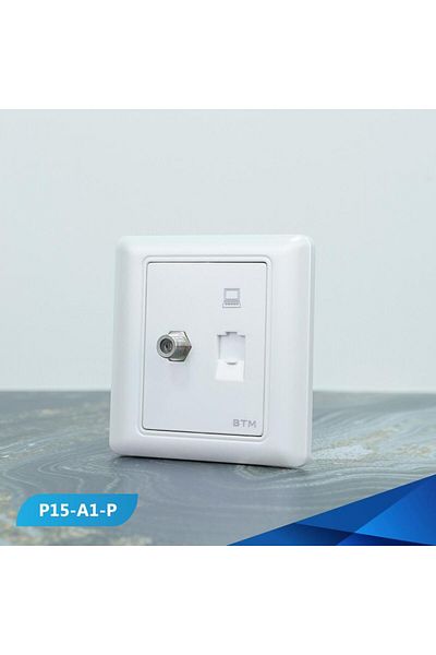 Btm Computer socket and TV socket, pearlescent colour -100 pieces