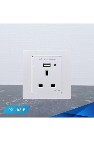 Btm 13 amp socket and USB port, pearl gold