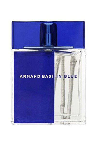 Armand Basi إن بلو أو دي تواليت 100 مل