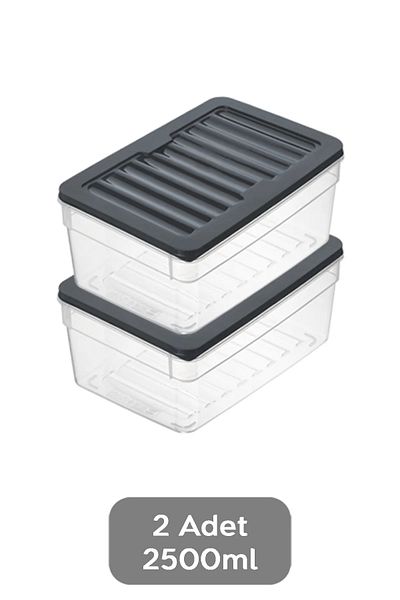 SAVLAR 2500ml Anthracite 2-Piece Deep Fridge Organizer Set - Organizer and Storage Container