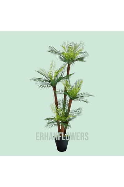 ERHAN FLOWERS ÇİÇEK & DEKORASYON 160 cm yapay areka ağacı