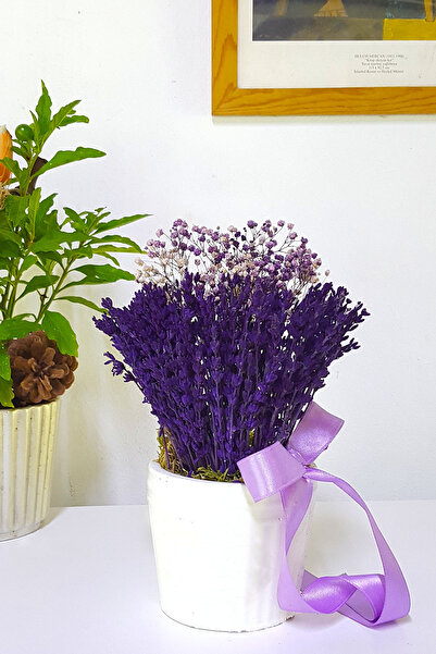 çiçekseli Beyaz Saksıda Mor Lavanta Ve Cipso & Hediye Dekoratif Çiçek & 20-22 Cm