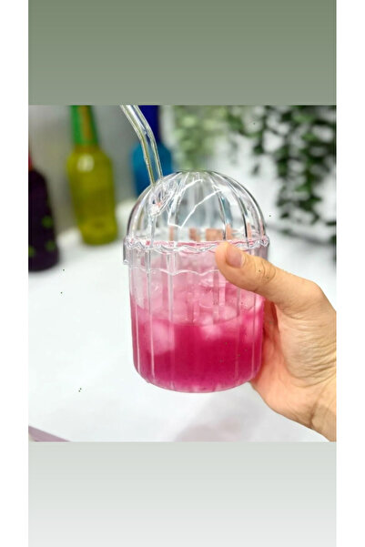 SEVEN7 Mika Oval Kapaklı Isıya Dayanıklı Pinterest Bardak 1adet Cam Pipetli