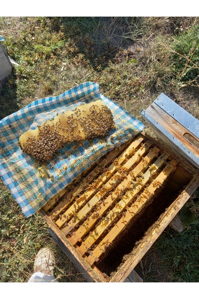 YöreselKars Kars Anadolu Süzme Çiçek Balı