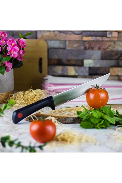 HIC Japanese kitchen knife 8 inch - 32CM