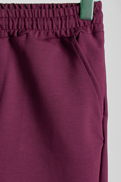 ADEGO Men's Plum Basic Regular Fit Shorts & Bermudas