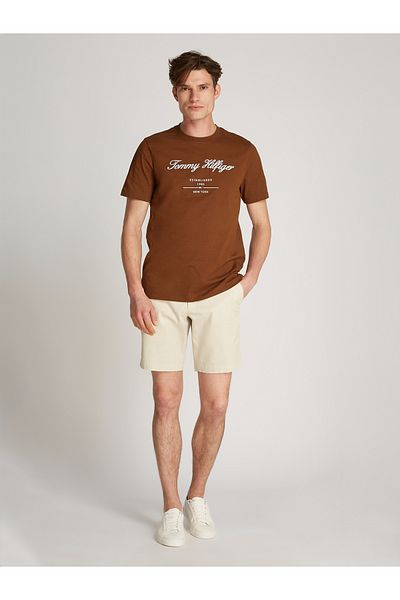 Tommy Hilfiger Tommy Hilfiger Men Brown T-Shirts