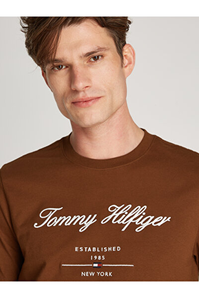 Tommy Hilfiger Tommy Hilfiger Men Brown T-Shirts