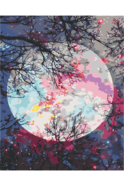 wombhobby Büyüleyici AY Sayılarla Boyama Seti 80X100 RULO ( ÇITAYA GERDİRİLME...