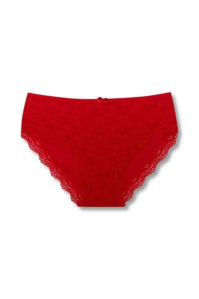 HNX 4 Pack Cotton Lace Front High Waist Plus Size Women's Panties