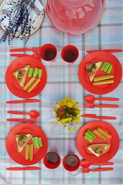 Saban Daisy Picnic Set 22 Pieces Red