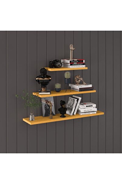 asratrend Modern Organizer Düzenleyici Dekoratif Kitaplık Banyo Mutfak 3'lü Duvarrafı