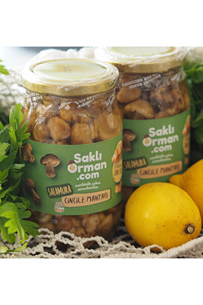 Saklı Orman Doğal Salamura Cincile Mantarı 200 gr