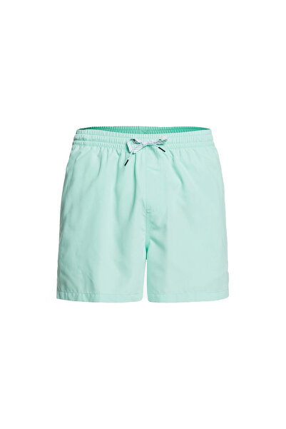 Quiksilver Every Day Volley Swim Shorts