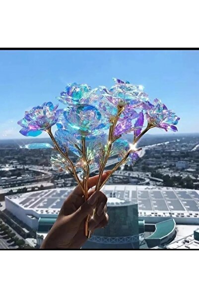 YASİMA 5 adet Sonsuzluk Gülü Rengarenk Hologramlı Sevgiliye Hediye 24 Cm