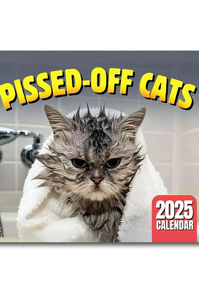 Choice Angry Cat 2025 Angry Cat Theme Calendar, New Year Wall Calendar, Fun Cat Theme Gifts For Cat Lovers,