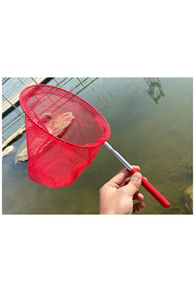 Choice شبكة حشرات للأطفال بألوان عشوائية 50*20*5 سم 300 جرام شبكة حشرات ملونة...