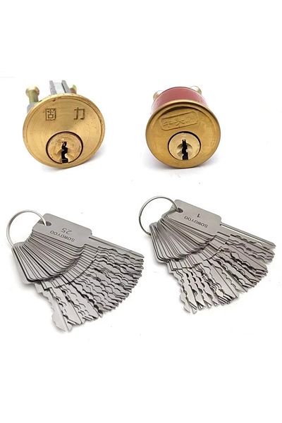 Choice 48 In 1 Locksmith Tools Lock Keys Set for Bull Head Lock for S Groove Lock For One Word Locks for...
