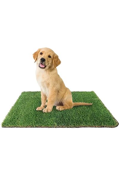 Choice 46x71cm Forest Green Artificial Grass Dog Potty Pad - Easy To Clean, Odor Resistant,indoor/outdoor P
