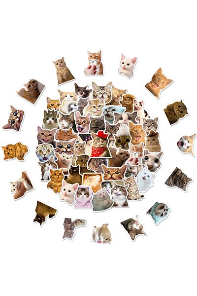 Choice 50pcs Cute Cat 50pcs Cute Animal Stickers - Cute Cat Waterproof Vinyl Decals Diy Laptops Water Bottl