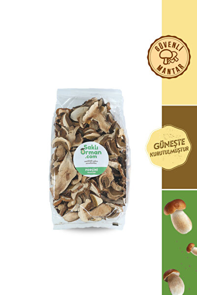 Saklı Orman Doğal Kurutulmuş Porçini Mantarı 100 gr