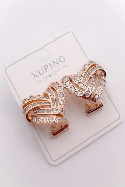 Trinos Steel Earrings Zircon Stone Mesh Heart Earrings