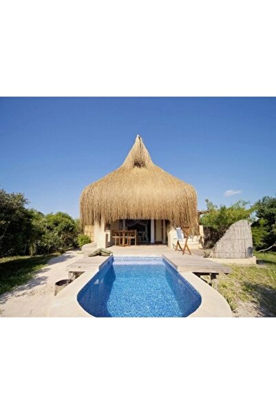 tunalar Hasır Püskül Otu Saçaklı Ot Dekoratif Amaçlı Kullanılır 1 Metre X 2 Metre