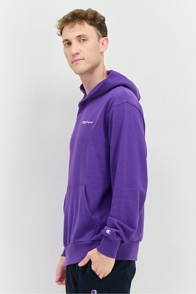Champion Men Sportswear Fit Outdoors Hooded Sweatshirt, Purple