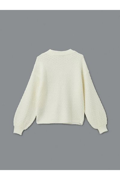 LC Waikiki Lcwaikiki Classic Ecru Crew Neck Self Patterned Women's Knitwear Sweater
