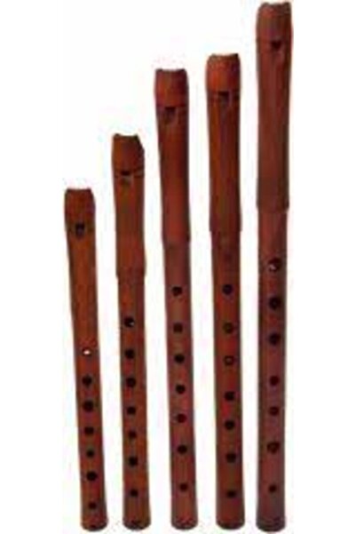 İMECE ERİK FLÜT KAVAL DO -38 CM - DİLLİ DÜDÜK