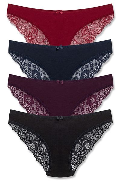 HNX 4 Pack Cotton Back Leg Lace Slip Women's Panties