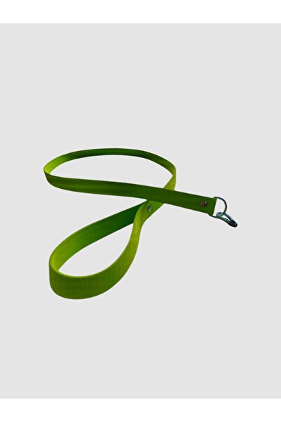 shop طوق مشي للكلاب