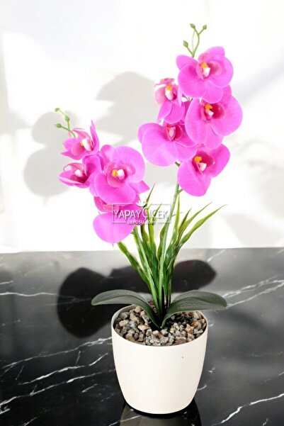 Yapay Çiçek Deposu Dekoratif 2li Mini Yapay Islak Orkide Tanzimi Fuşya 40 cm