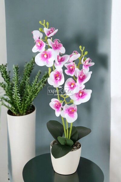 Yapay Çiçek Deposu Dekoratif 3lü Yapay Islak Orkide Tanzimi Beyaz-Fuşya 50 cm