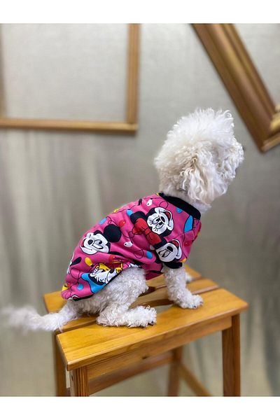 yalıpet 2 Yarn Patterned Cat Dog Apparel